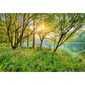 Фотообои бумажные Komar Spring Lake (Весеннее озеро NG) 368х254 см (8-524) лучшая модель в Харькове