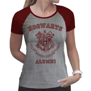 Футболка ABYstyle Harry Potter M Сіра (ABYTEX503M) в Харкові