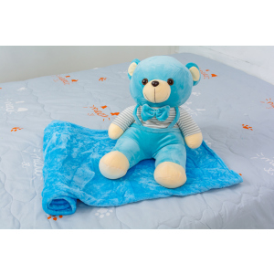 Плед детский MirSon №1052 Bear Blue 100х160 (2200003094039) ТОП в Харькове