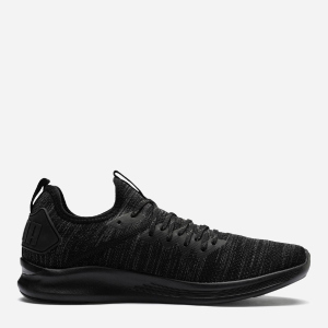 Кросівки Puma Ignite Flash evoKNIT 19050805 45 (10.5) 29.5 см Black (4059504785063) краща модель в Харкові