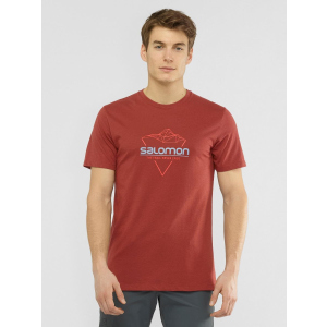 Футболка Salomon Blend Logo Tee M LC1408500 S Коричнева (0193128345792) в Харкові