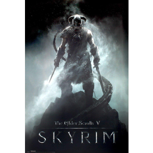 THE ELDER SCROLLS V: SKYRIM (Ключ Steam) для ПК лучшая модель в Харькове