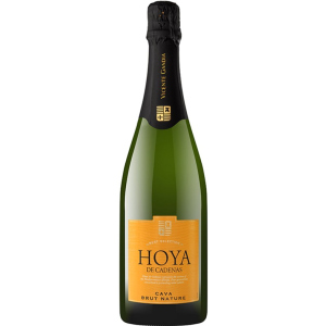 Вино игристое Hoya de Cadenas Cava Brut Nature белое брют 0.75 л 11.5% (8410310605994) лучшая модель в Харькове