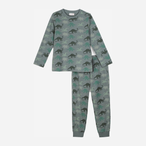 Піжама (лонгслів + штани) Coccodrillo Pyjamas ZC1448106PJS-027 104 см Сіра (5904705589172) краща модель в Харкові