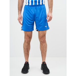 Спортивні шорти Mizuno High-Kyu Short V2EB700122 L (5054698344941) в Харкові