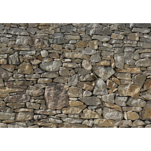 Фотошпалери флізелінові Komar Stone Wall (Кам'яна стіна) 368х254 см 8 сегментів (8NW-727) ТОП в Харкові