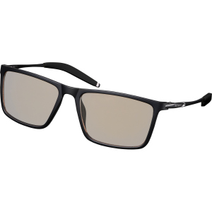 Окуляри комп'ютерні 2E Gaming Anti-blue Glasses Black-Black (2E-GLS310BK) ТОП в Харкові