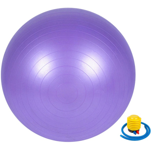 М'яч для фітнесу Newt 65 см Фіолетовий (487-626-1-V) в Харкові