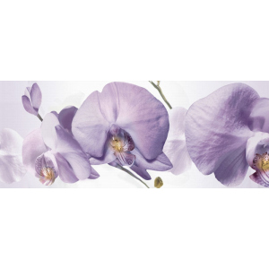 Декор Halcon Colours Orquideas Berenjena лиловый 200x500 (016305) лучшая модель в Харькове