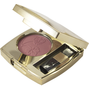 Рум'яна Lambre Compact Blush 02 рожевий димчастий 2.5 г (3760106023965) краща модель в Харкові