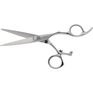 Ножиці для стрижки волосся Cisoria OEW550 (5412058189494) краща модель в Харкові