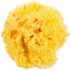 Натуральна морська губка Ok Baby Honeycomb Sea Sponge розмір 12 (38471200) в Харкові